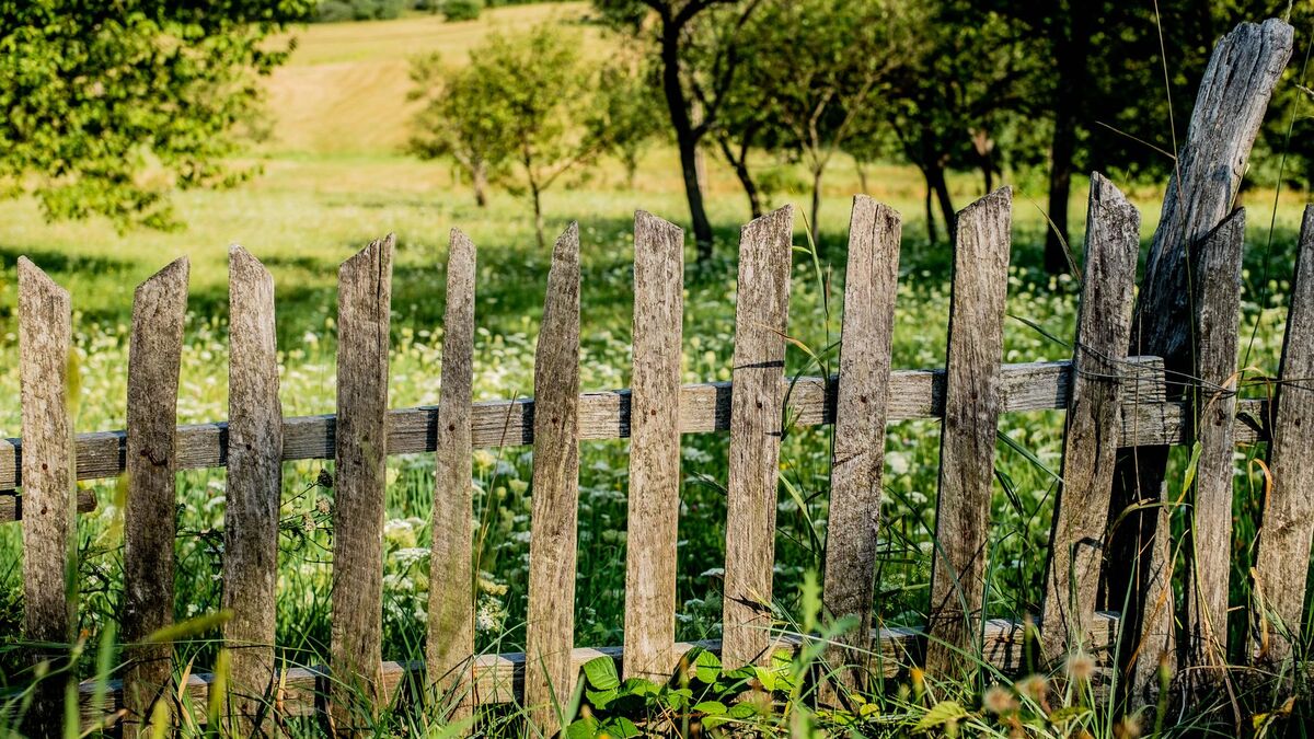 An old weathered wood picket fence leaning unevenly at the edge of a grassy yard