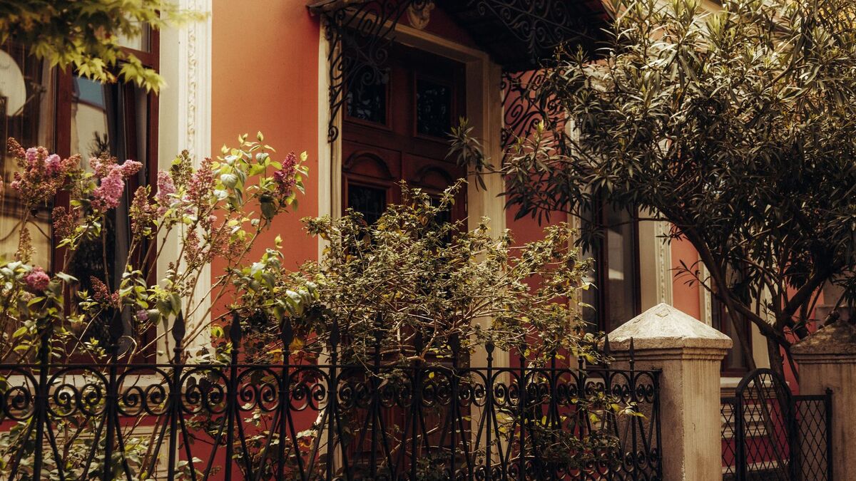 A black ornamental metal fence in front of a house, with flowering shrubs behind it
