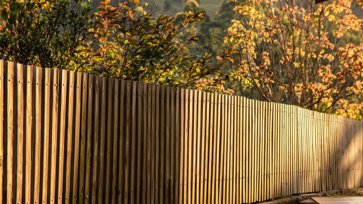A long new wood privacy fence glowing in low autumn sun, with fall foliage above it